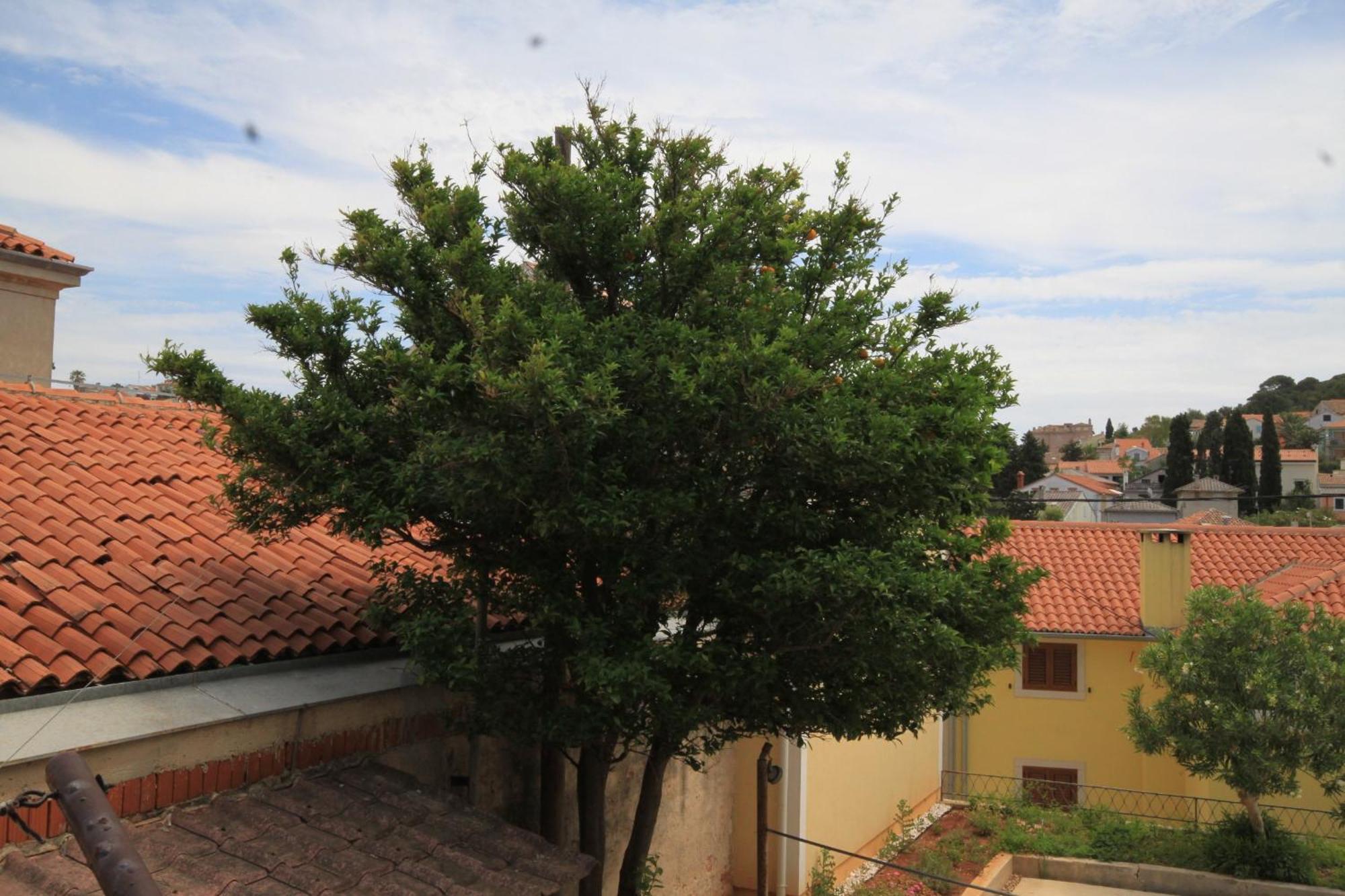 Apartments And Rooms With Parking Space Mali Lošinj Exteriér fotografie